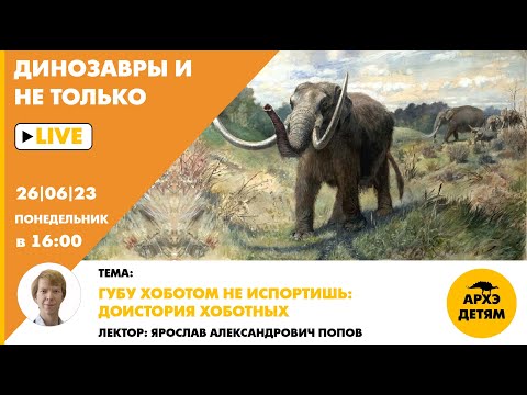 Занятие "Губу хоботом не испортишь: доистория хоботных" кружка Ярослава Попова Динозавры и не только