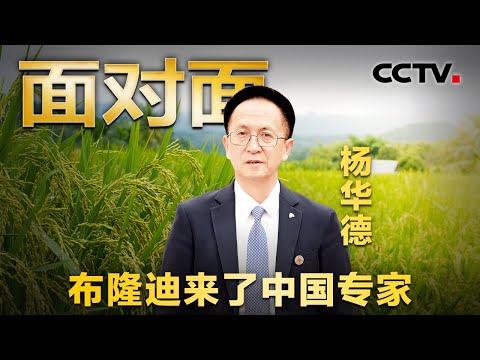 援助布隆迪8年，中国杂交水稻在非洲创高产纪录！来看非洲农田上的“魔术师” | CCTV「面对面」