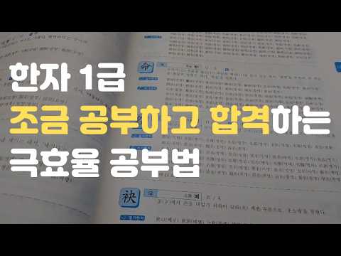 한자급수 1급! 이 방법으로 2주만에 합격했습니다 🏆 │한의대 편입