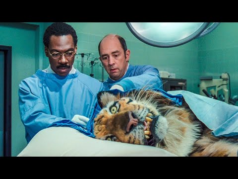 طبيب بتجيلو قوه خارقه بتخليه قادر يتكلم مع الحيوانات ويفهم لغتهم | ملخص فيلم Dr dolittle