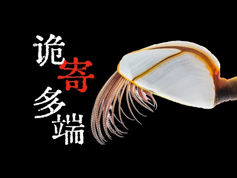 【鬼谷说】藤壶：那诡寄多端的过往……