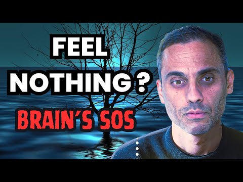 Anhedonia: Why You Feel Nothing — And How to Get Your Joy Back