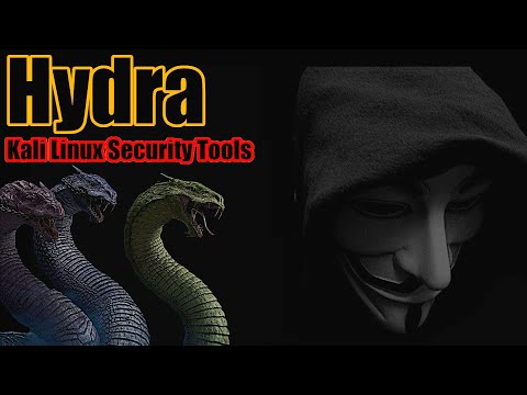 Penetration Testing with Hydra and Kali Linux