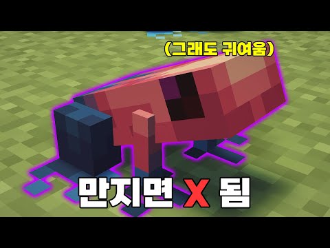 겁나 귀여운 독개구리 모드 | 마인크래프트