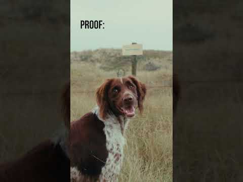 This Camera turns EVERYTHING into a MOVIE.