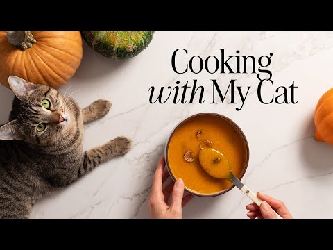 Korean Pumpkin Porridge, Kimbap & Fish Cake Soup | Cooking with My Cat