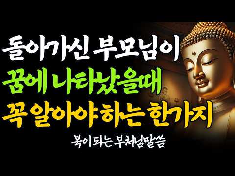 돌아가신 부모님이 꿈에 나타나는 이유 | 놓쳐서는 안 될 한 가지 의미 | 부처님 말씀