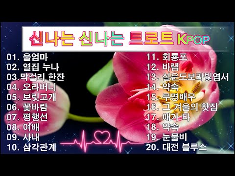 신나는 신나는 트로트 KPOP (TROT) PLAYLIST ☘️ ( 꽃길.상사화.여인의 눈물.회룡포.바람길...) #Kpop