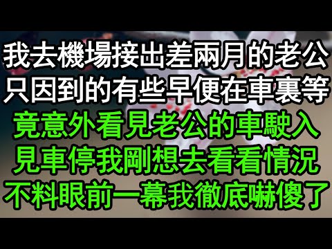 我去機場接出差兩月的老公，只因到的有些早便在車裏等，竟意外看見老公的車駛入，見車停我剛想去看看情況，不料眼前一幕我徹底嚇傻了#深夜淺讀 #為人處世 #生活經驗 #情感故事