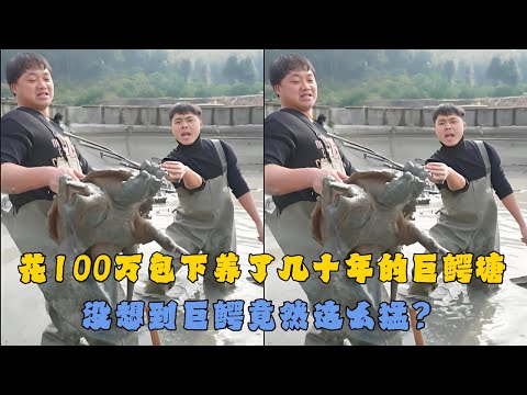 花100万包下养了几十年的巨鳄塘，没想到巨鳄竟然这么猛？#户外抓鱼 #户外捕鱼 #大表哥抓鱼 #乡村生活 #农村生活