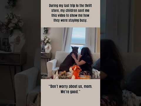 They did stay busy 😂 #thrifting #funny #funnydogs #dog #music