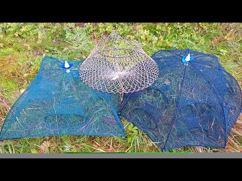 Nikolai Tikhomirov's Crayfish Traps Review! All the Pros and Cons of Crayfish Traps!