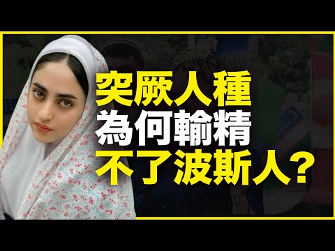 突厥人种输精中亚,为什么独独波斯人没有突厥化?