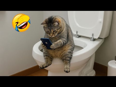 Funniest Cats of 2025 😹 You Won’t Stop Laughing! Part 18