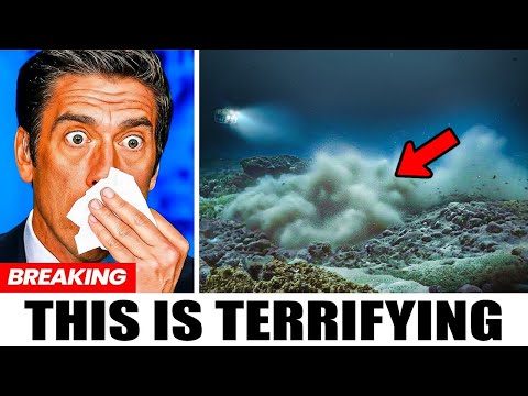 A Deep-Sea Drone Just Detected Something Moving 11 km Down — And It Wasn’t Fish