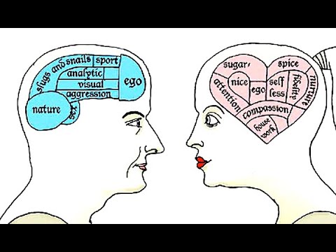 The Most Controversial Clip I Ever Put On YouTube. Are Men's & Women's Brains Different?