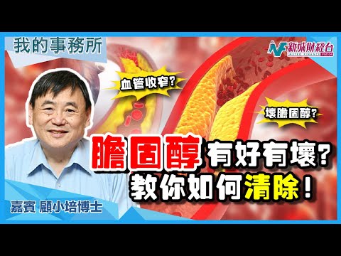 【我的事務所】原來膽固醇有好有壞？！如何清除血管內壞膽固醇？｜顧小培 劉婉芬