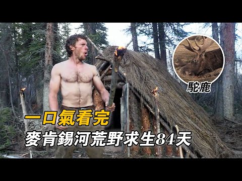 一口氣看完麥肯錫河荒野求生84天，狩獵上千斤老駝鹿，10斤梭子魚吃到膩，建造純實木荒野大別墅，冠軍將獲得50萬美金獎勵！紀錄片