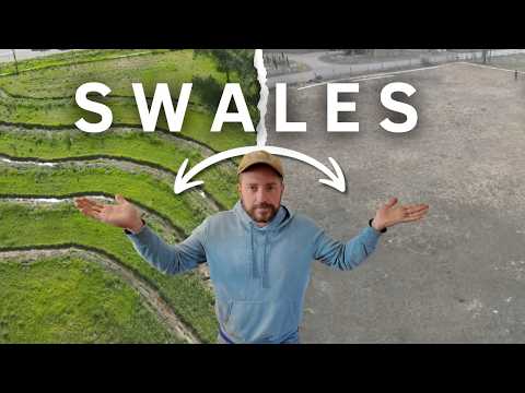 Creating Food Forest with this Technique on my Desert farm