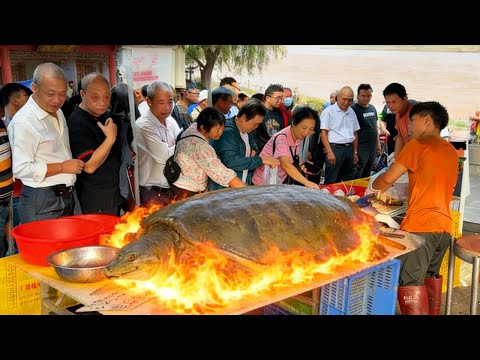 郑州黄河边农家院，黄河土甲鱼160元一斤，鲜掉眉毛可遇不可求#麦总去哪吃