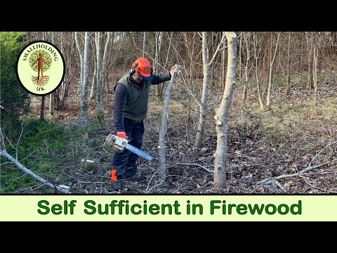 Growing Trees for Firewood | Coppicing | Smallholding UK