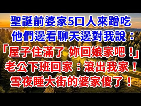 聖誕前婆家5口人來蹭吃，他們邊看聊天邊對我說：屋子住滿了，妳回娘家吧！老公下班回家：滾出我家！雪夜睡大街的婆家傻了！#思妤說故事#為人處世#生活經驗#情感故事#晚年哲理#說故事#完結文#原創故事