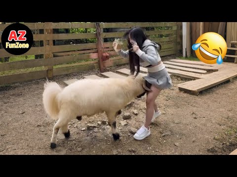 Funniest Fail Videos & Viral Memes Of The Year 😂🤣 Try Not To Laugh Challenge #12