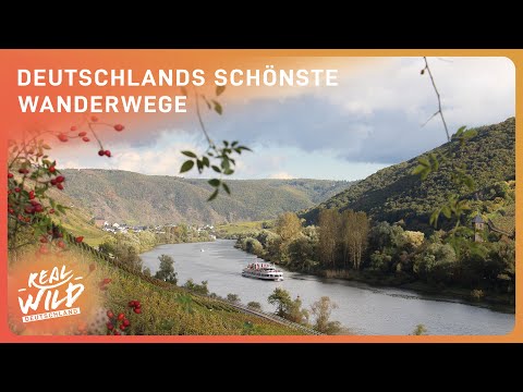 Der schönste Wanderweg Europas | Der Saar-Hunsrück-Steig