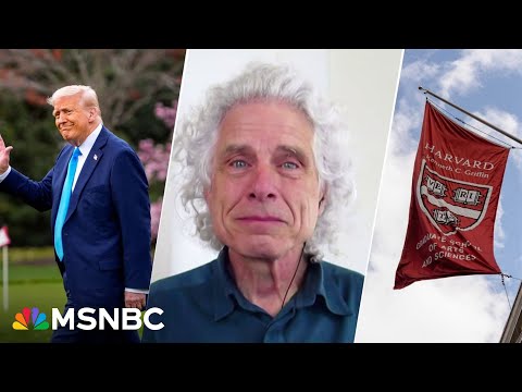 ‘This is authoritarianism’: Harvard professor says Trump is trying to ‘strangle’ the university