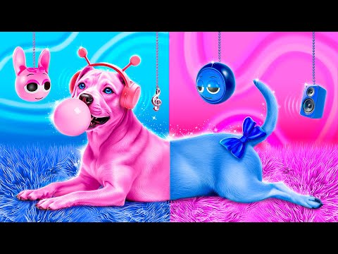 Мы спасли бездомную собаку! Строим секретную комнату для животных! Розовый vs синий!