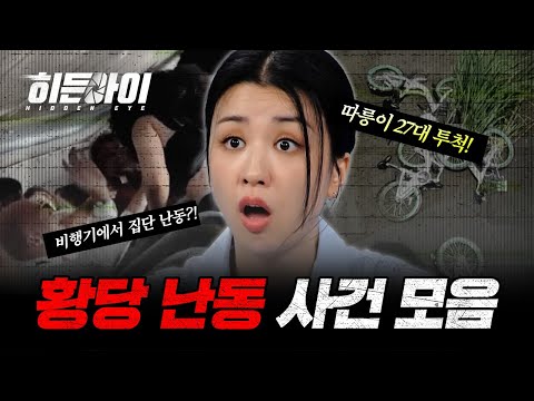(1시간) 눈을 의심하게 되는 황당 난동 사건 모음! | #히든아이 | #MBCevery1 | EP.12 외