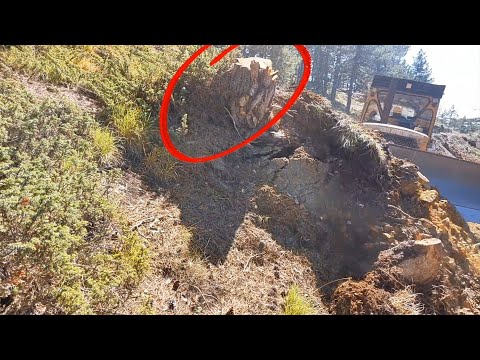 CAT D7 KÖK CANAVARI-root monster #keşfet #bulldozer #keşfetbeniöneçıkar