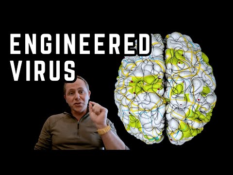 Neuroscience JUST Did the IMPOSSIBLE