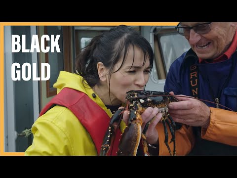 The €8,000 Luxury: Why Swedish Lobster Is The World's Most Expensive