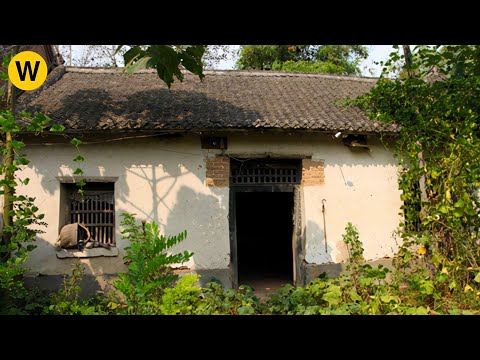 A genius girl renovated an old house and redecorated it like new in 5 months