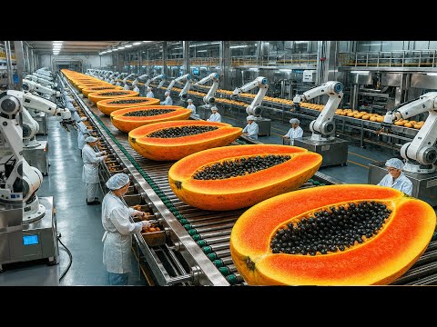 Inside a Modern Papaya Factory in the Future: From Farm to Dessert (The Whole Process)