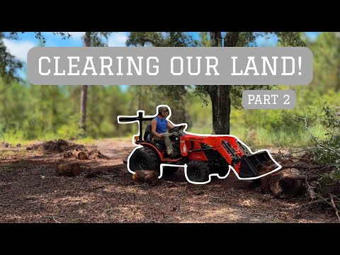 Clearing the Land for our Future Homestead! 