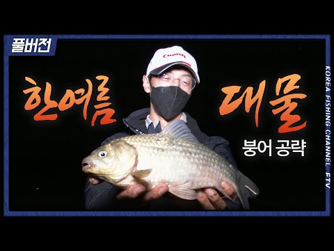 월척 붕어를 공략! 수심이 깊고 물색 찌든 포인트를 찾은 이방원! [붕어낚시 월척특급/781회]