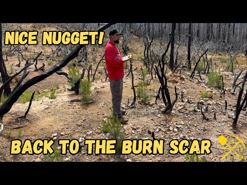 I Don't Think This Gold Nugget Moved Very Far - Metal Detecting for Gold in California