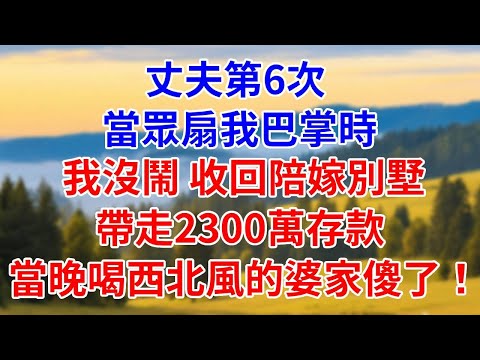 丈夫第6次當親戚面扇我巴掌時，我沒鬧，收回陪嫁別墅，帶走2300萬存款，當晚，婆家全員喝西北風#燈下講故事#婆媳#反轉#爽文#小說#情感#家庭倫理