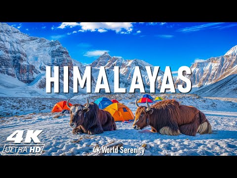 Himalayas In 4K - The Roof Of The World | Mount Everest | Scenic Relaxation Film