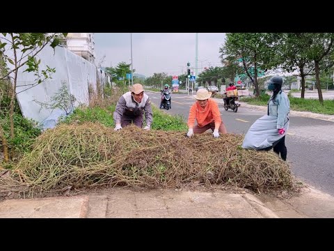 Grass and trash cover the entire sidewalk near large hotels and apartment buildings in Hue city
