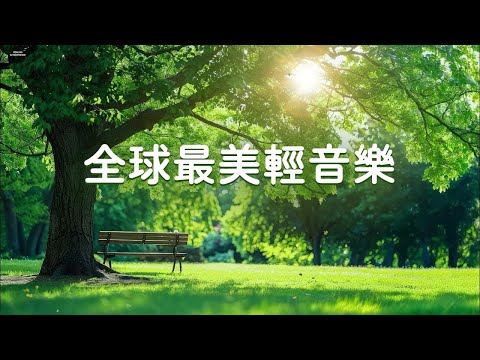 [NO ADS] Healing Music To Relieve Stress | Comfortable, Gentle, Quiet, Healing - Beautiful Piano