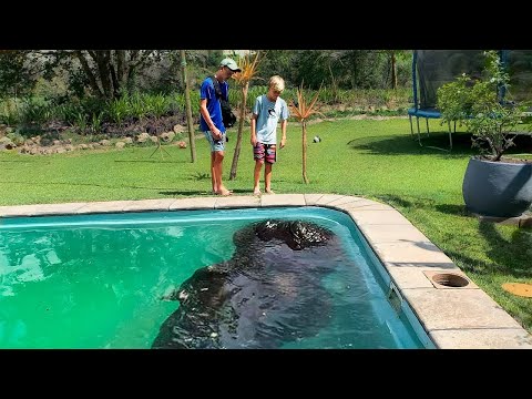 That Really Happened in People's Backyards