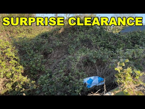 We SURPRISE Neighbours With FREE GARDEN CLEARANCE!