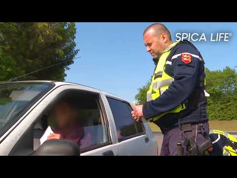 Suspicious car: a big surprise for the police!