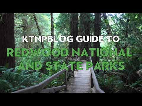 Guide to Redwood National and State Parks | KTNPBlog