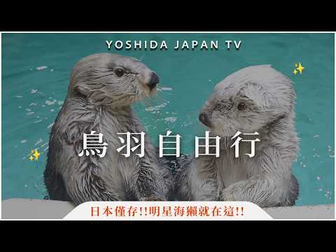 Japan's only remaining sea otter is here! Toba Aquarium ✨ Hometown of female divers: Toba City, M...