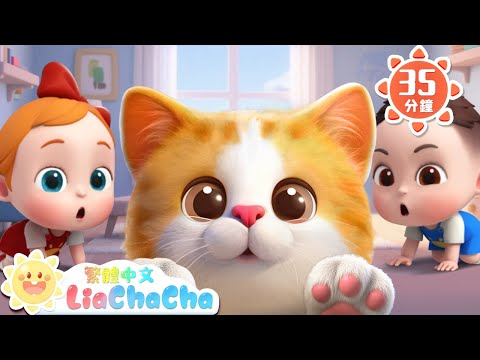 我們家的小貓咪 | 啟蒙教育 | 國語童謠 | 人氣兒歌 | LiaChaCha 依娜和恰恰 - 繁體中文 - 兒歌童謠