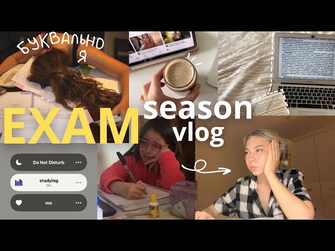 продуктивный день во время сессии | готовимся вместе со мной!